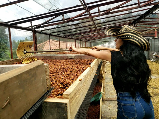 3 reasons the price of specialty coffee is higher