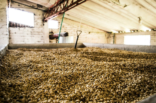 So what is washed coffee?