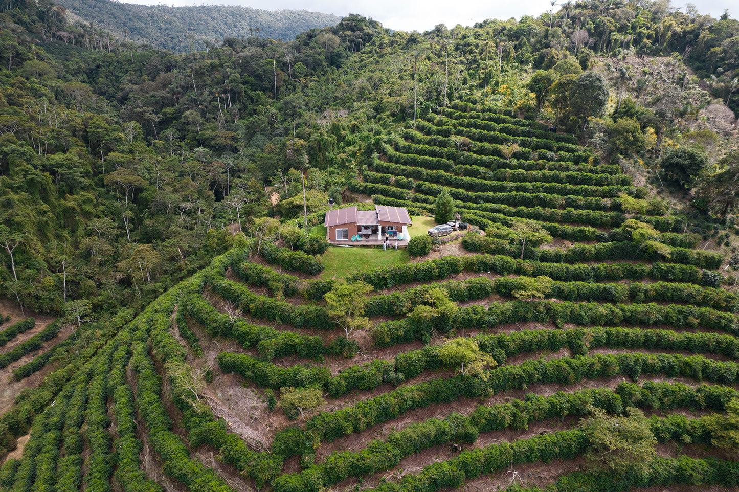 Los Rodriguez - Single Origin - BOLIVIA
