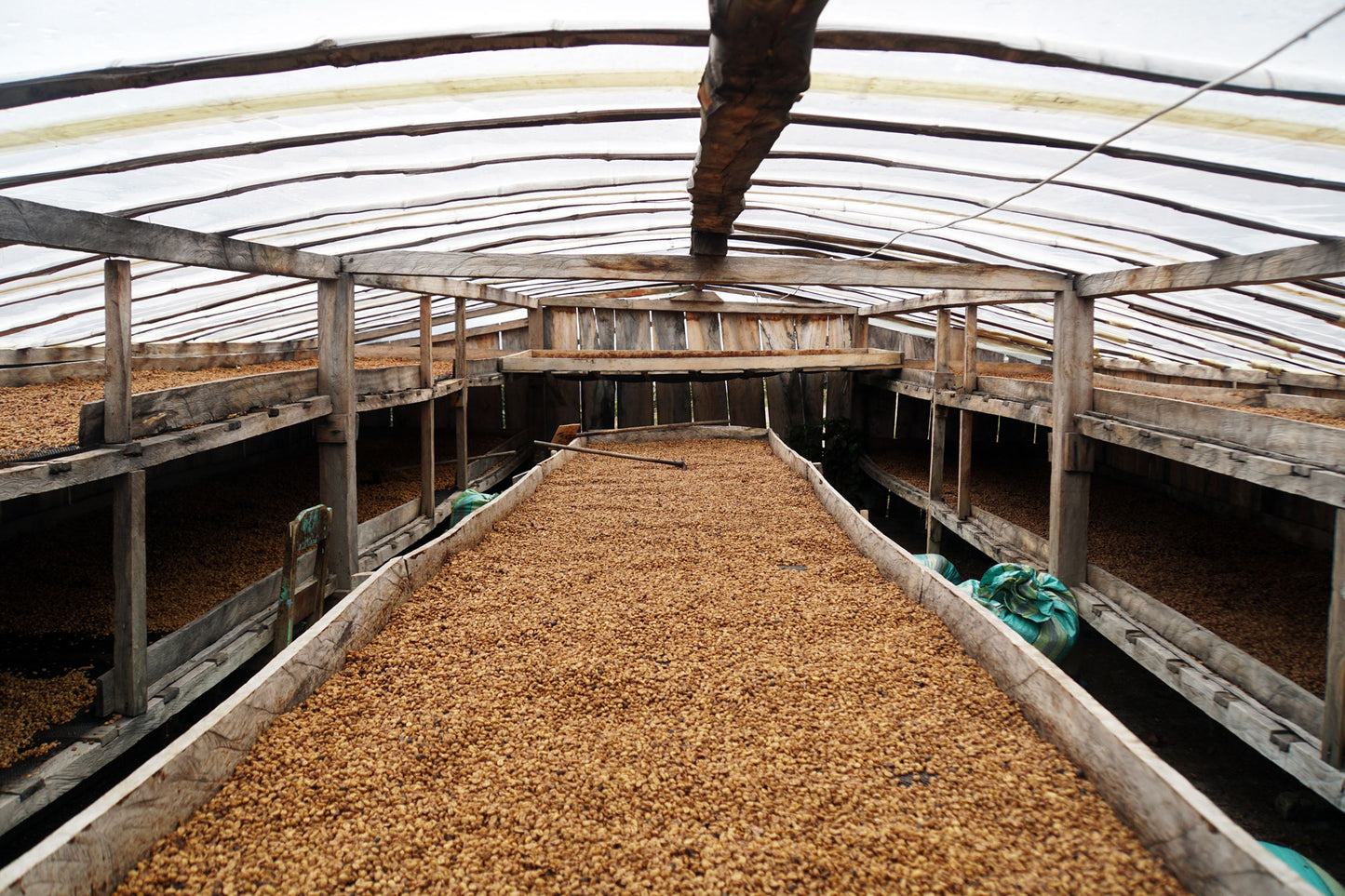 Producers of Aponte - Single Origin - COLOMBIA