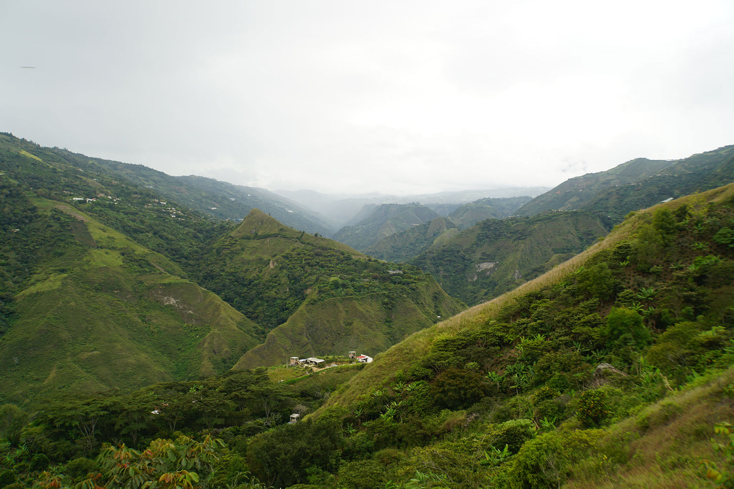 Producers of Aponte - Single Origin - COLOMBIA
