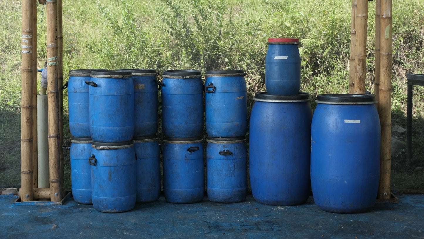 Jorge Rojas - Single Origin - COLOMBIA