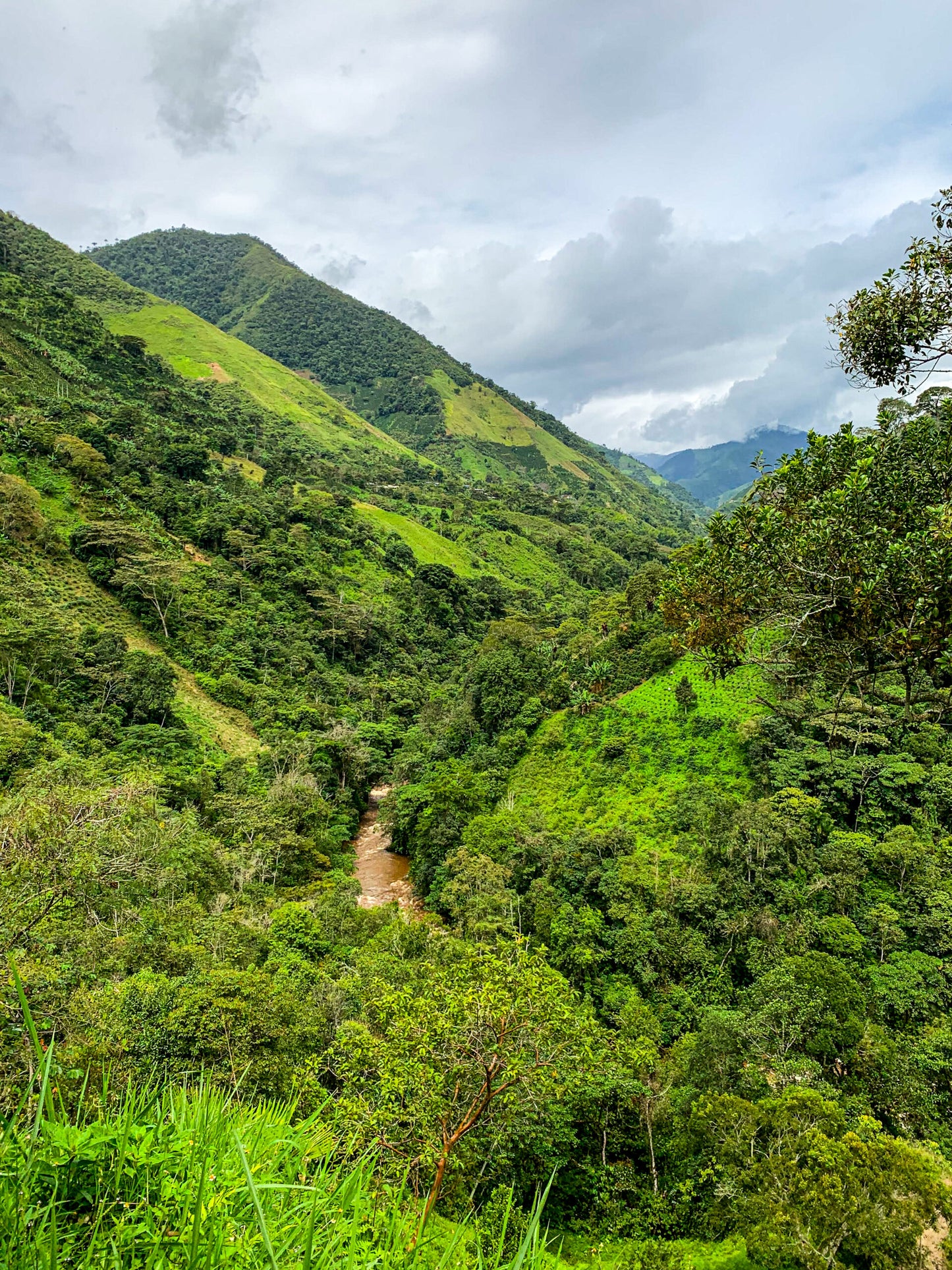 El Conjuro - Special Espresso Blend