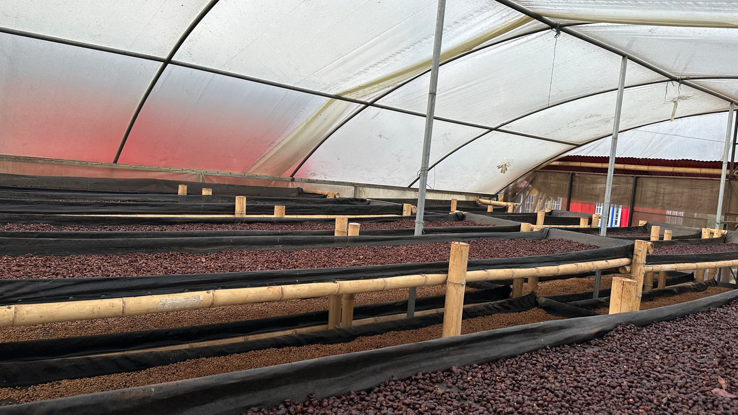 Jorge Rojas - Single Origin - COLOMBIA