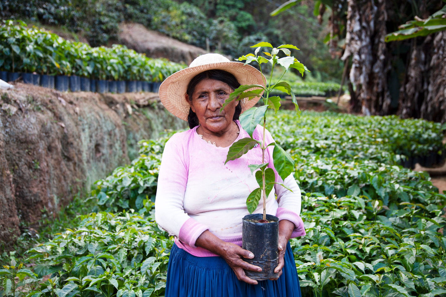 Carmelita Aduviri - Single Origin - BOLIVIA