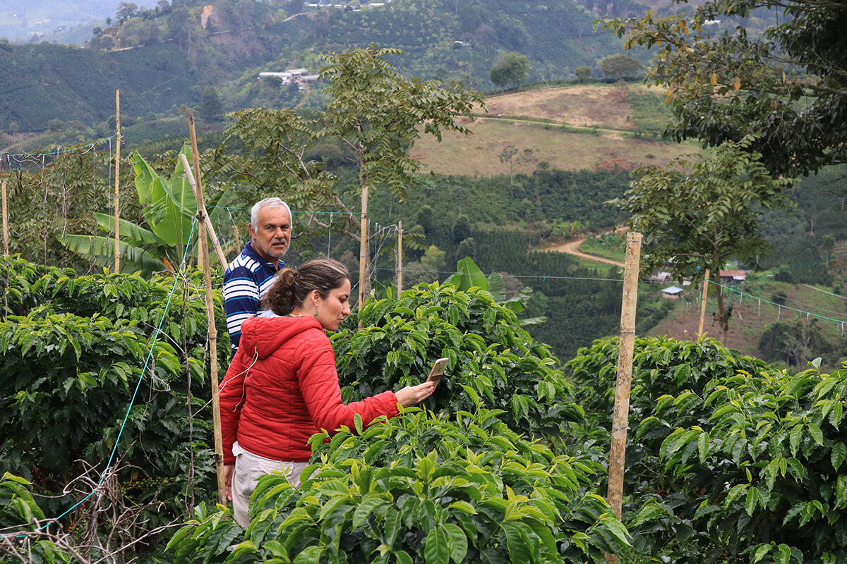 La Serranía - Decaf - Single Origin - COLOMBIA