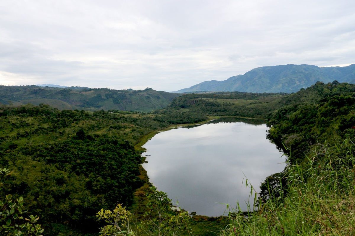 Jhon Hector Diaz - Single Origin - COLOMBIA