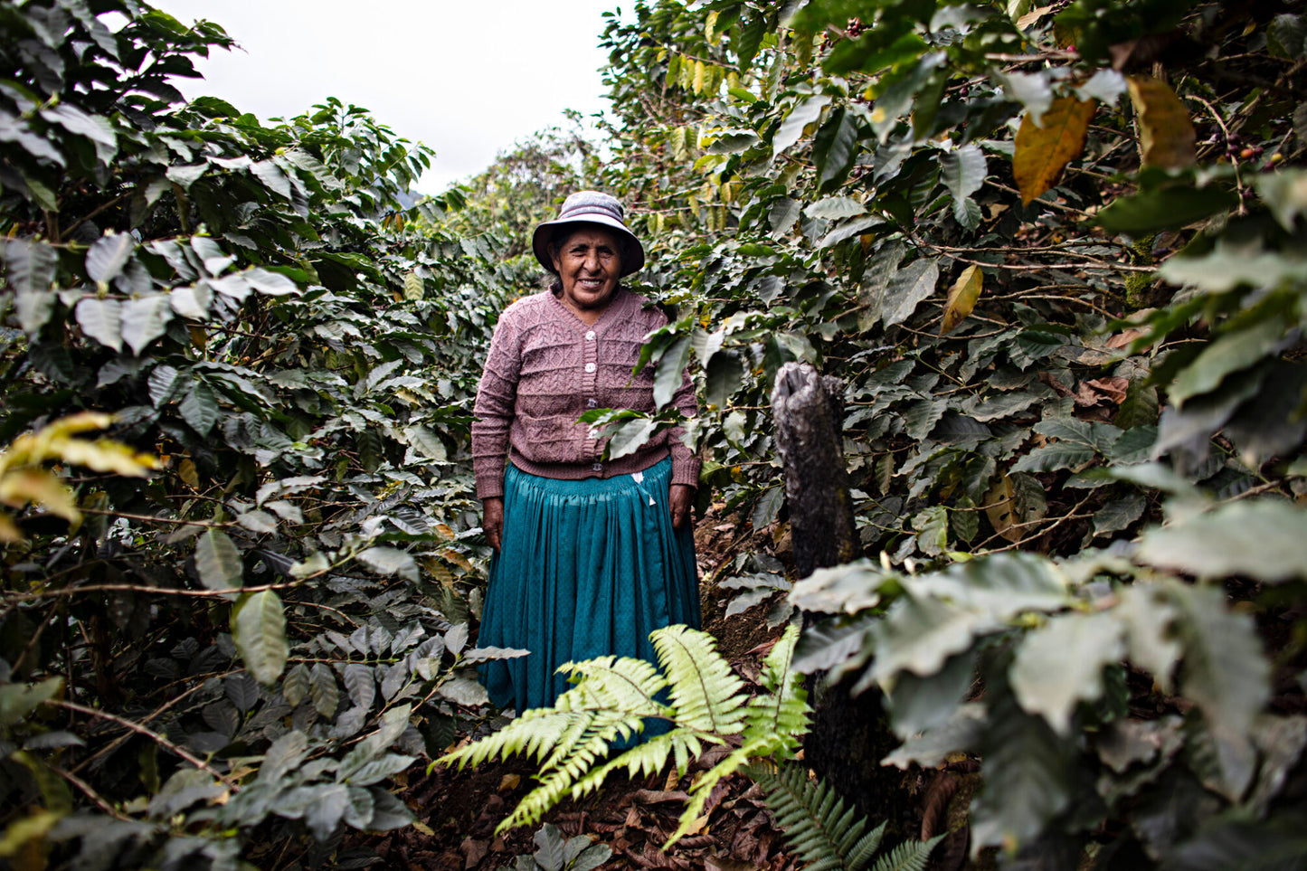 Carmelita Aduviri - Single Origin - BOLIVIA