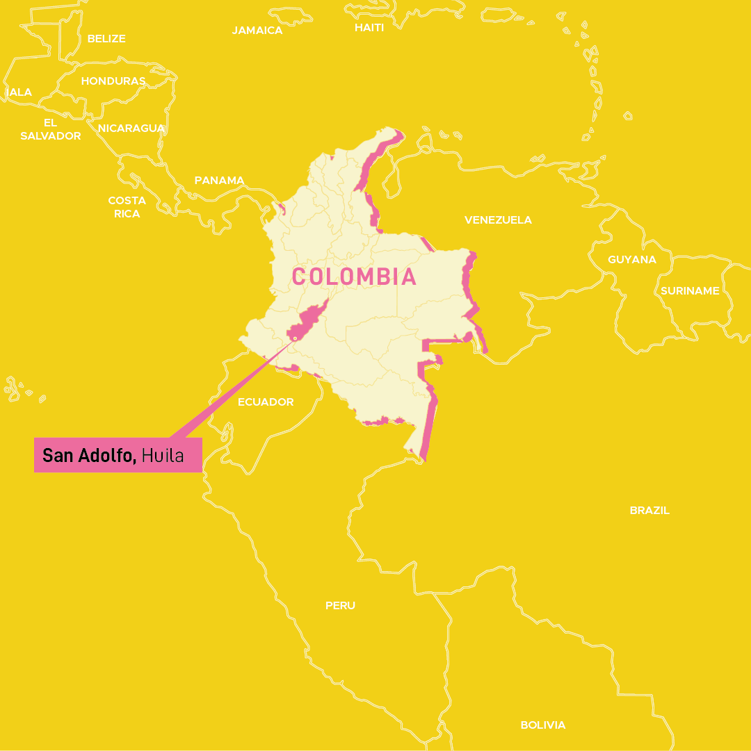 Wilder Lazo - Single Origin - COLOMBIA