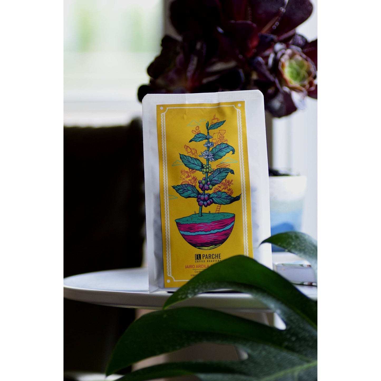 Filter Single Origin Subscription