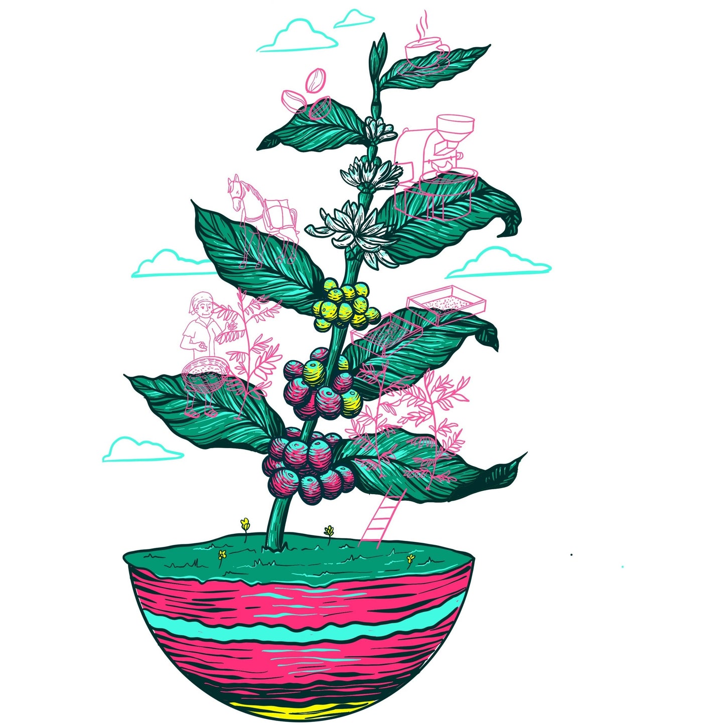 Sweater - El Parche Coffee Plant Design