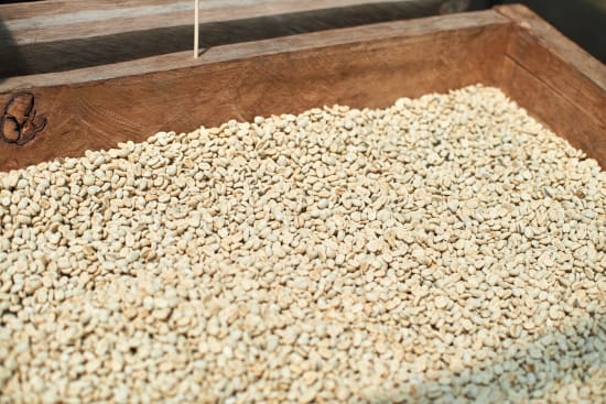 Henry Prado & Ana Jimenez - Single Origin - ECUADOR