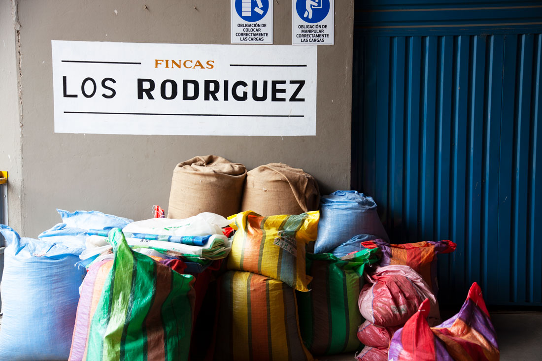 Los Rodriguez - Single Origin - BOLIVIA