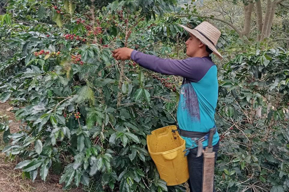 Andres Peña - Single Origin - COLOMBIA