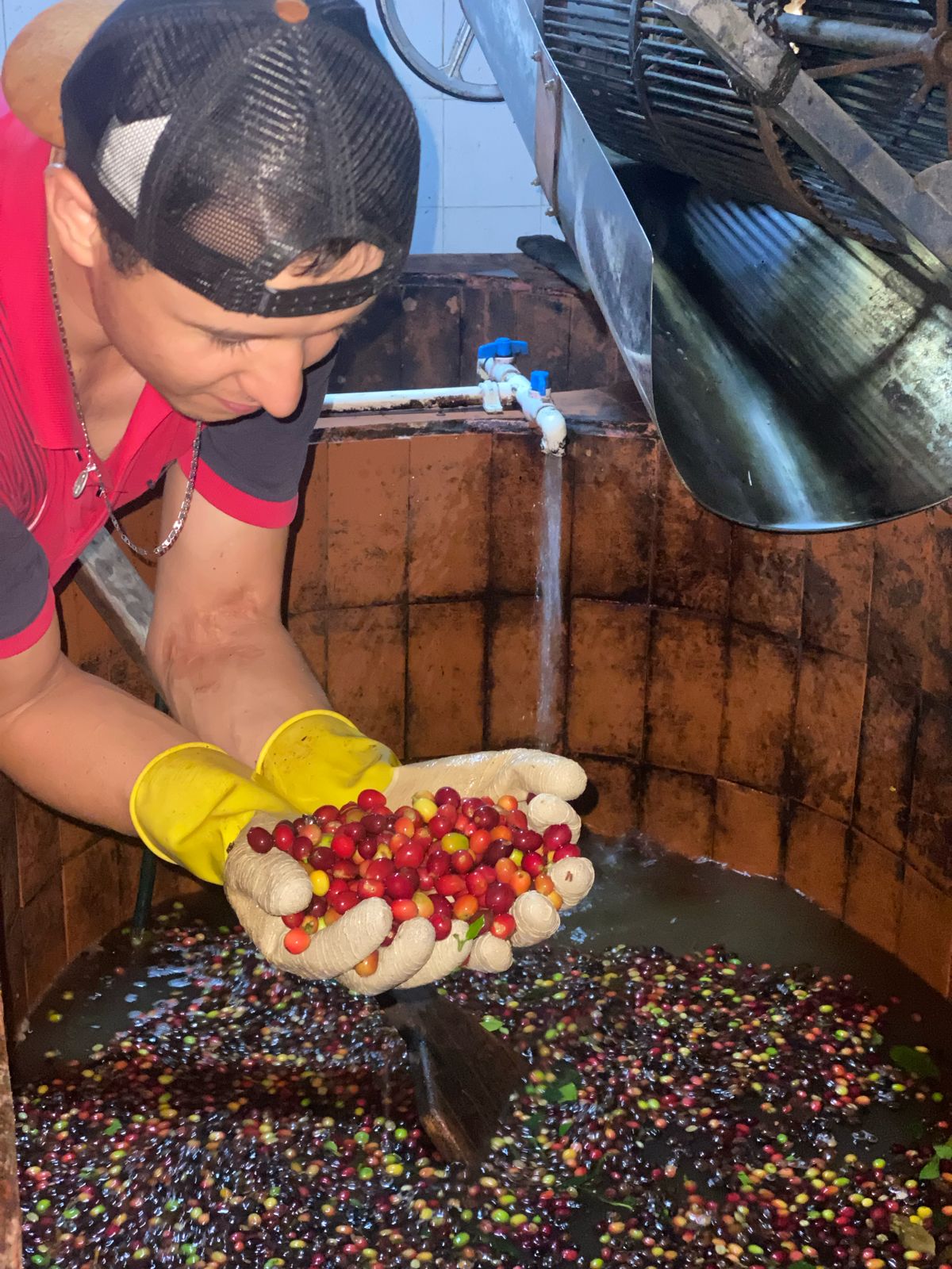 Creation - Single Origin - COLOMBIA