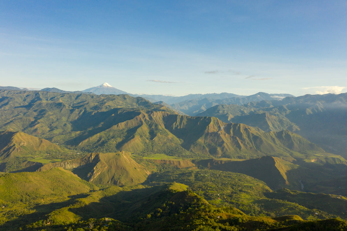 Maria Rosa Oidor  - Single Origin - COLOMBIA