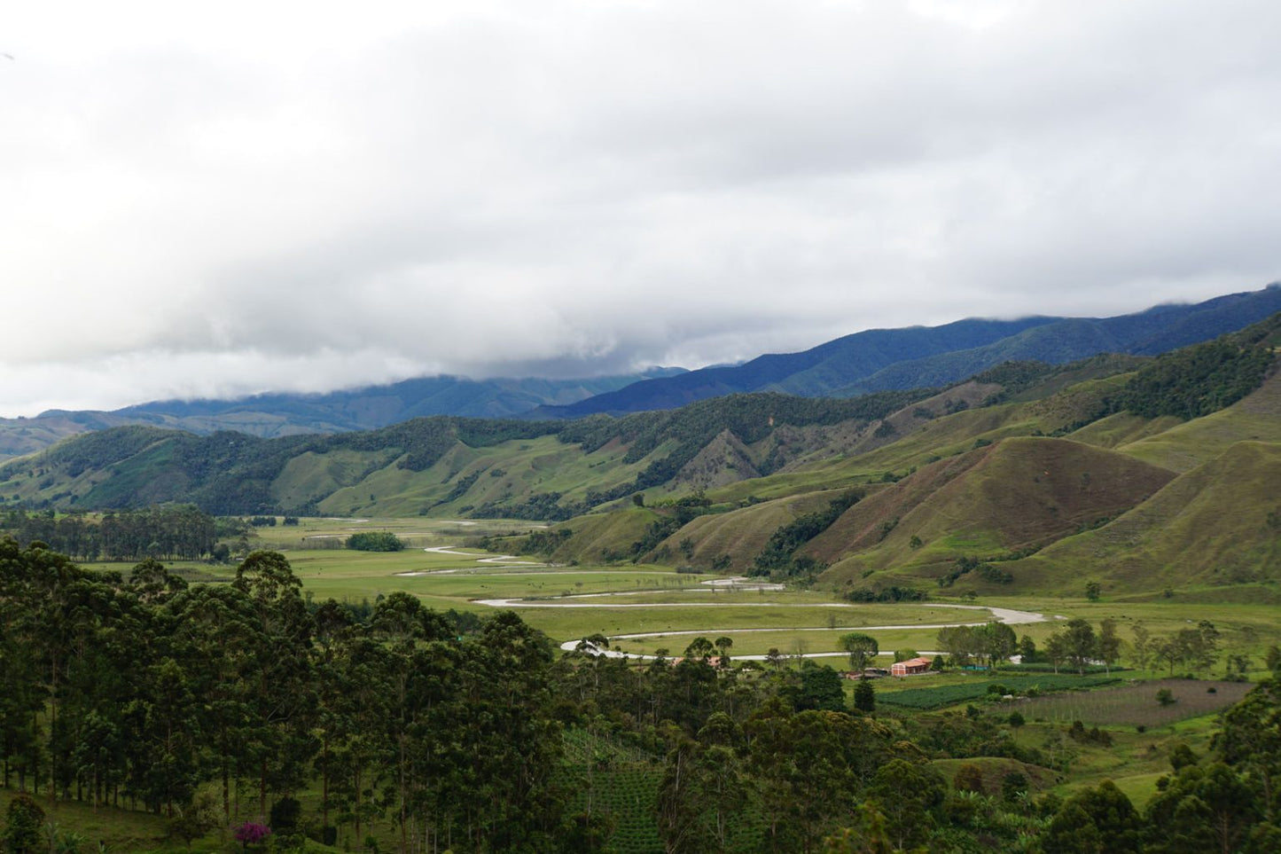 Jorge Hernando Cuellar - Single Origin - COLOMBIA