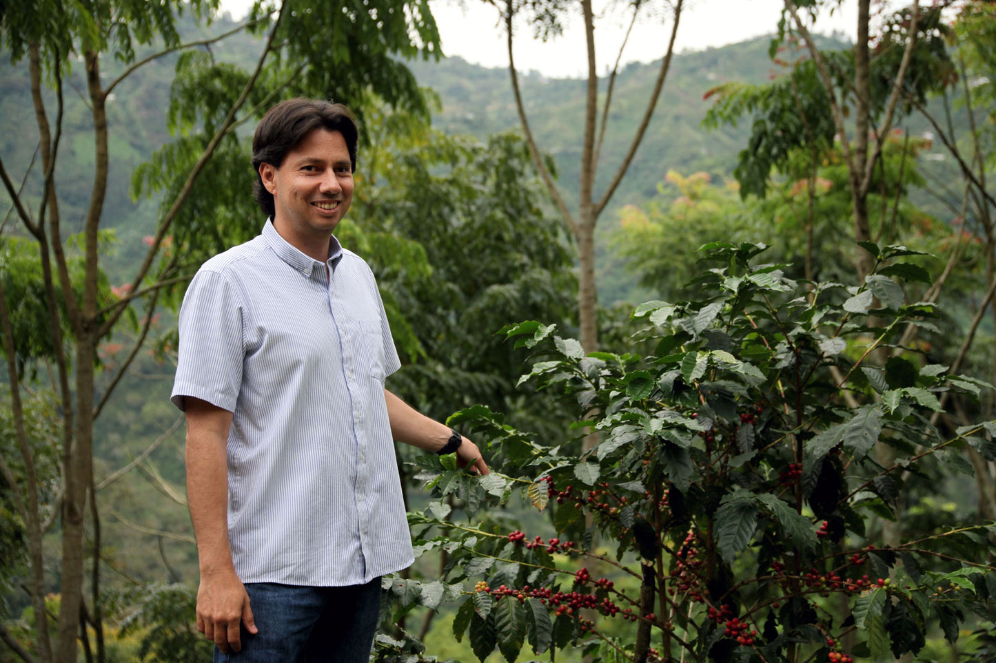El Jardín - Single Origin - COLOMBIA